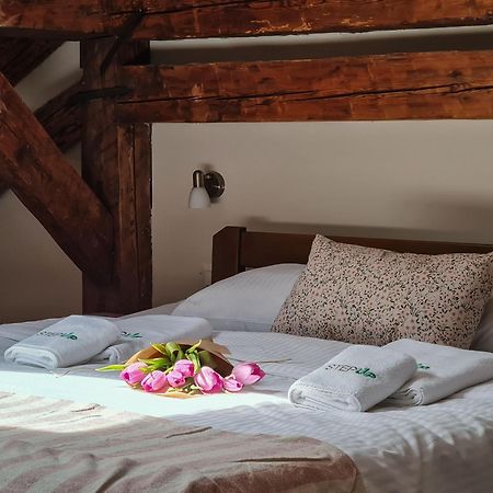 Step To Kotor Bay Guesthouse Zewnętrze zdjęcie
