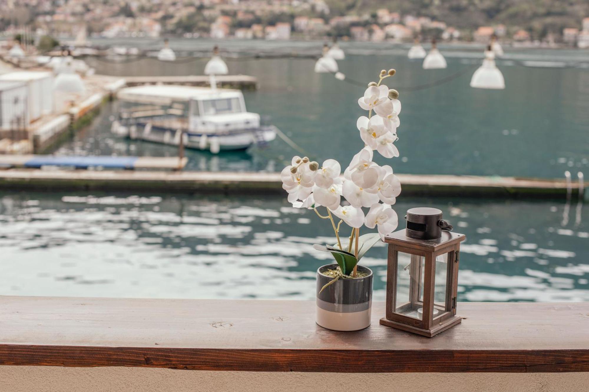 Step To Kotor Bay Guesthouse Zewnętrze zdjęcie